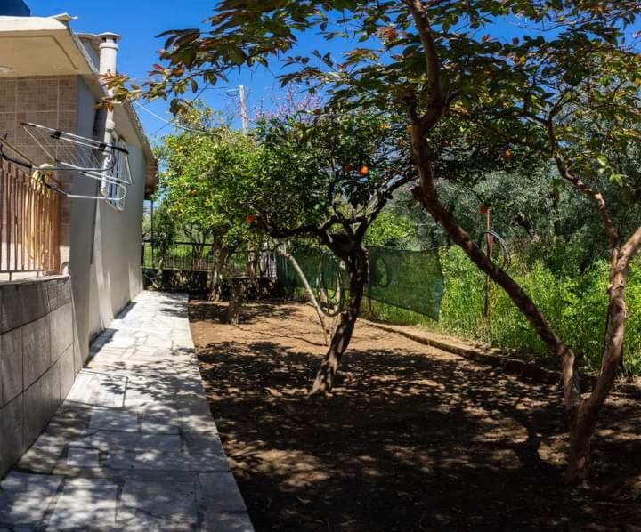 Semesterbostad House Beside Lemon Tree *